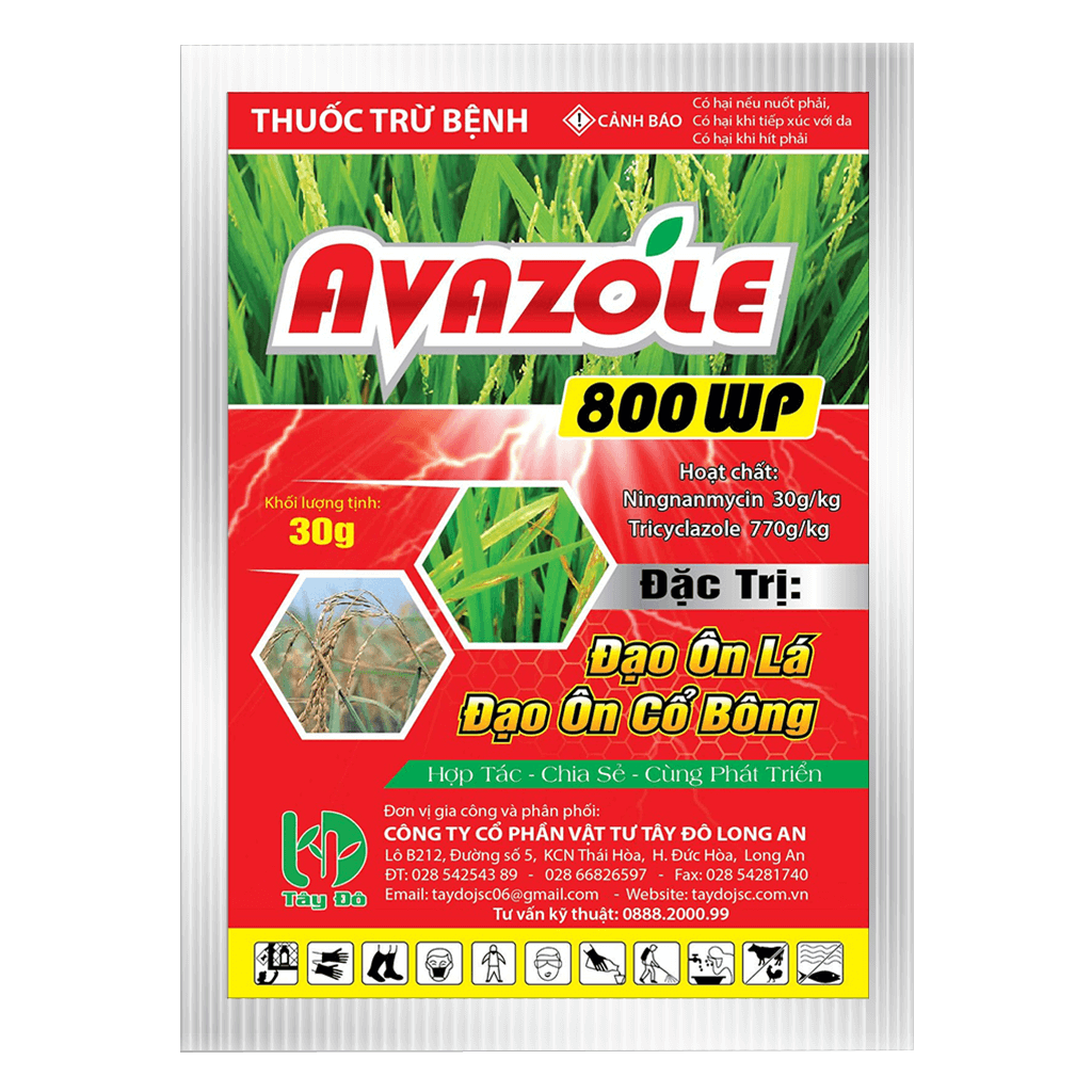 AVAZOLE 800WP